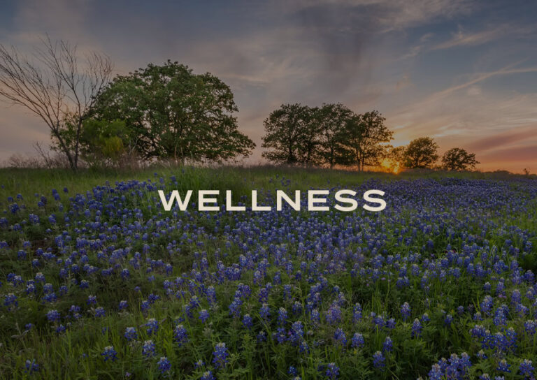 Wellness: a field of bluebonnets under a sunset sky at Wildhaven Reserve